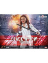 Black Widow Snow Suit Verzió Akciófigura 1/6 - Black Widow - Hot Toys - 