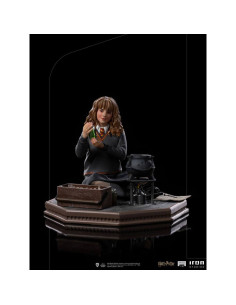 Hermione Granger Polyjuice...