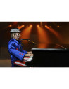 Live in '76 Deluxe Set Akciófigura 20 cm - Elton John - Neca