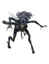 Alien Queen Ultra Deluxe Akciófigura 38 cm - Aliens - Neca
