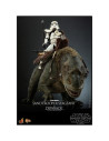 Sandtrooper Sergeant & Dewback akciófigura szett 30 cm - Star Wars Episode IV - Hot Toys