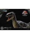 Velociraptor Male szobor 40 cm - Jurassic Park III - Prime 1 Studio