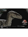 Velociraptor Female bonus verzió szobor 44 cm - Jurassic Park III - Prime 1 Studio