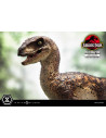 Velociraptor Open Mouth Prime Collectibles szobor 19 cm - Jurassic Park - Prime 1 Studio